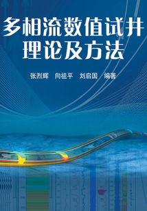 多相流數值試井理論及方法