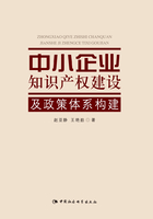 中小企业知识产权建设及政策体系构建在线阅读