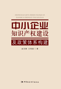 中小企業(yè)知識(shí)產(chǎn)權(quán)建設(shè)及政策體系構(gòu)建
