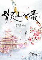 夢靈山河錄在線閱讀