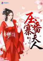 压寨番夫人在线阅读