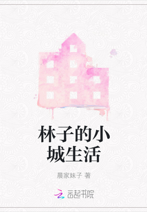 林子的小城生活