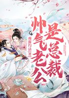 帅气老公是总裁