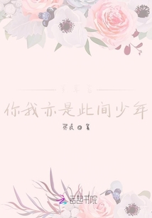 多年后你我亦是此间少年