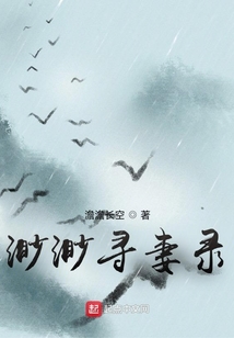渺渺尋妻錄