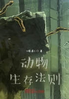 动物生存法则在线阅读
