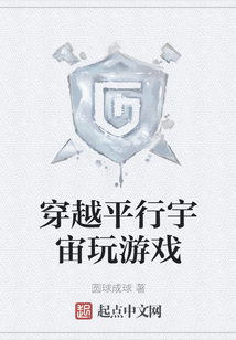 穿越平行宇宙玩游戏