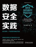 数据安全实践：能力体系、产品实现与解决方案在线阅读