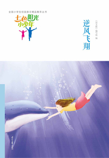 “七色陽光小少年”全國小學生校園美文精品集萃叢書：逆風飛翔