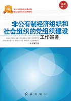 非公有制经济组织和社会组织的党组织建设工作实务（2017修订）