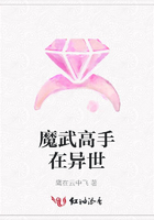 魔武高手在異世在線閱讀