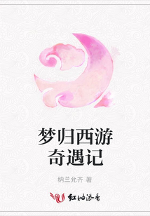 梦归西游奇遇记