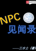 NPC见闻录在线阅读