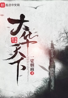 大华天下