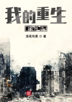 我的重生超純潔在線閱讀