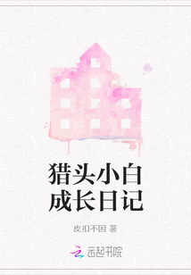 獵頭小白成長日記