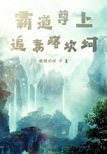 霸道尊上追妻路坎坷