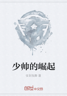 少帥的崛起
