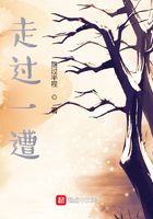 走过一遭在线阅读