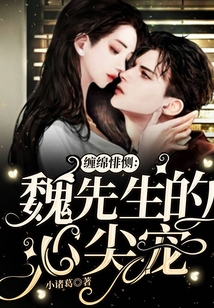 纏綿悱惻：魏先生的心尖寵