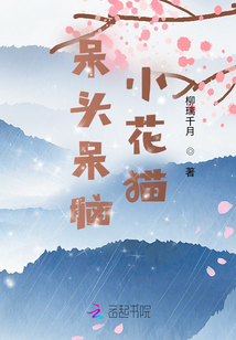 呆頭呆腦小花貓