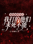 姐姐被欺负后,我打的他们求死不能在线阅读