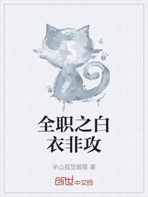 全職之白衣非攻