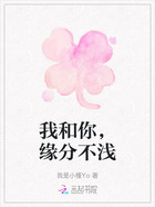 我和你,缘分不浅在线阅读