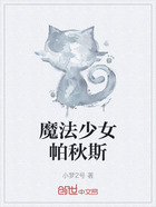 魔法少女帕秋斯在线阅读