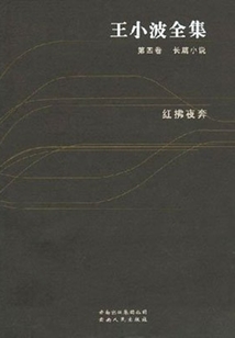 王小波全集（第四卷）