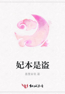 妃本是盗