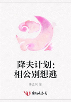 降夫計劃：相公別想逃在線閱讀