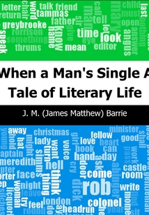 When a Man's Single: A Tale of Literary Life