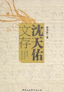 沈天佑文存