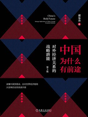  中国为什么有前途：对外经济关系的战略潜能（第3版）|200