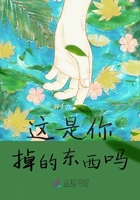這是你掉的東西嗎在線閱讀