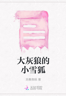 大灰狼的小雪狐