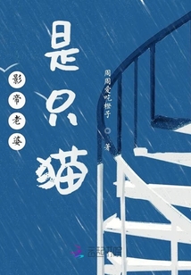 影帝老婆是只貓