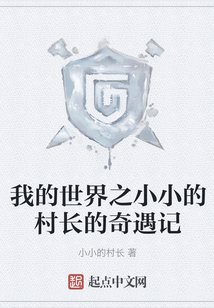我的世界之小小的村長的奇遇記