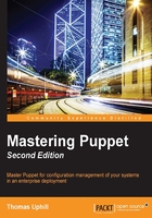 Mastering Puppet（Second Edition）在線閱讀