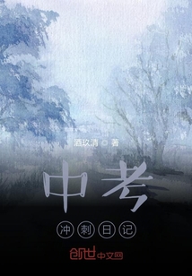 中考沖刺日記