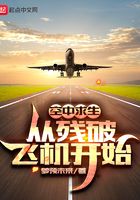 空中求生:从残破飞机开始
