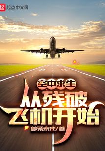 空中求生：從殘破飛機開始