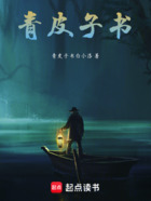 青皮子书在线阅读