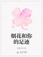 烟花和你的足迹在线阅读