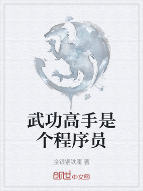 武功高手是个程序员在线阅读