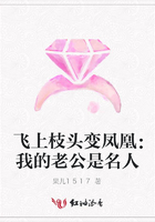 飛上枝頭變鳳凰：我的老公是名人在線閱讀