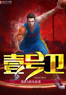 Number One Wing cover