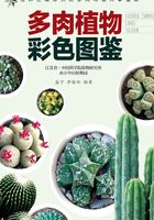 多肉植物彩色图鉴在线阅读