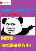 全球高武之我大舅哥无敌在线阅读
